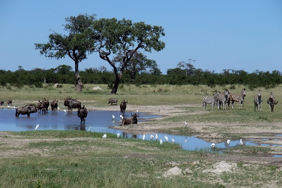 Savuti Channel, Chobe National Park, Botswana